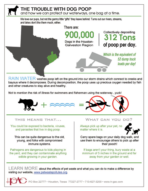 Pet Waste Infographic