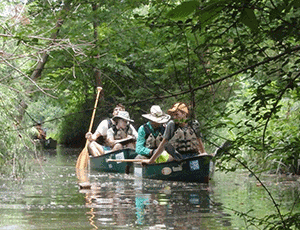 Green's Bayou Paddle Trail