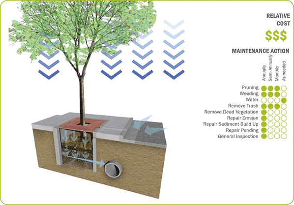 Stormwater-Planter-Box