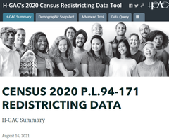 H-GAC's 2020 Census Redistricting Data Tool