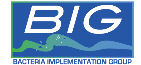 Bacteria Implementation Group (BIG)