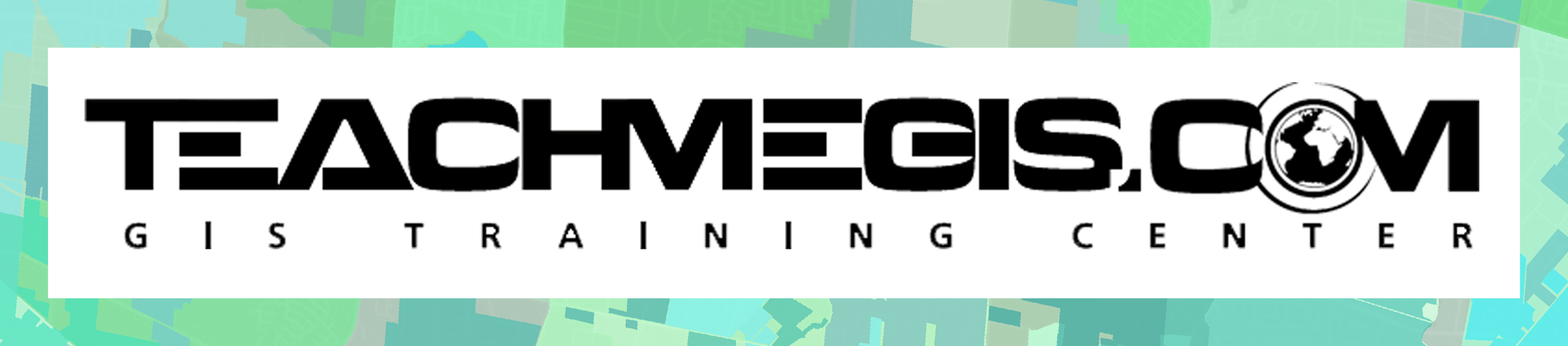 teach me gis logo