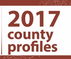 County Profiles