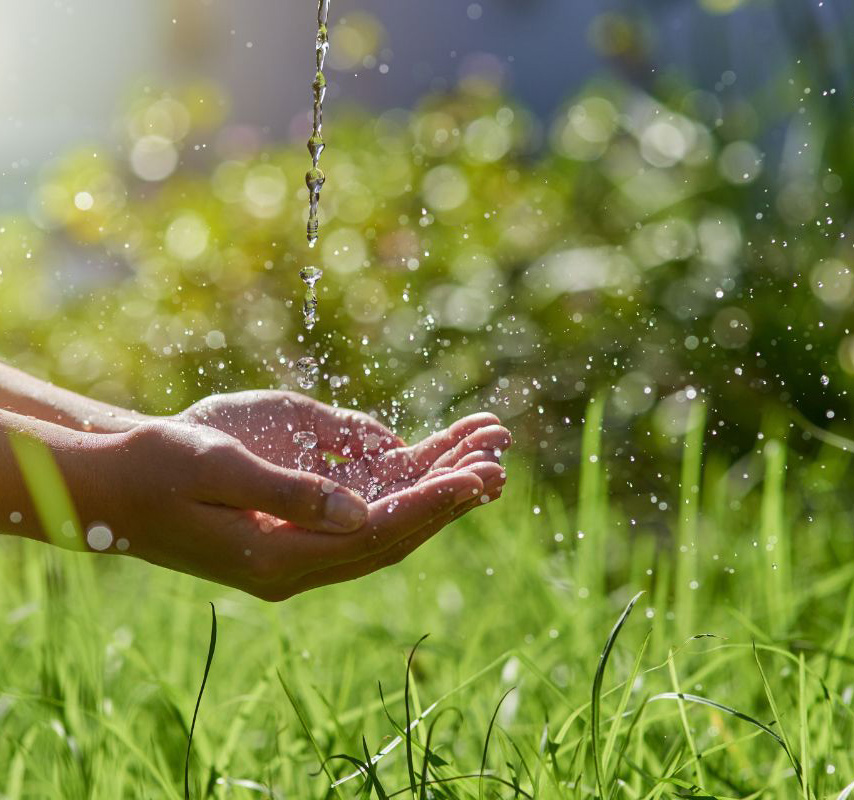 Two hands cupped together above green grass while water is dropping into them