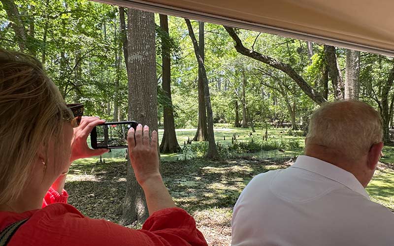 Woman taking a picture of scenary