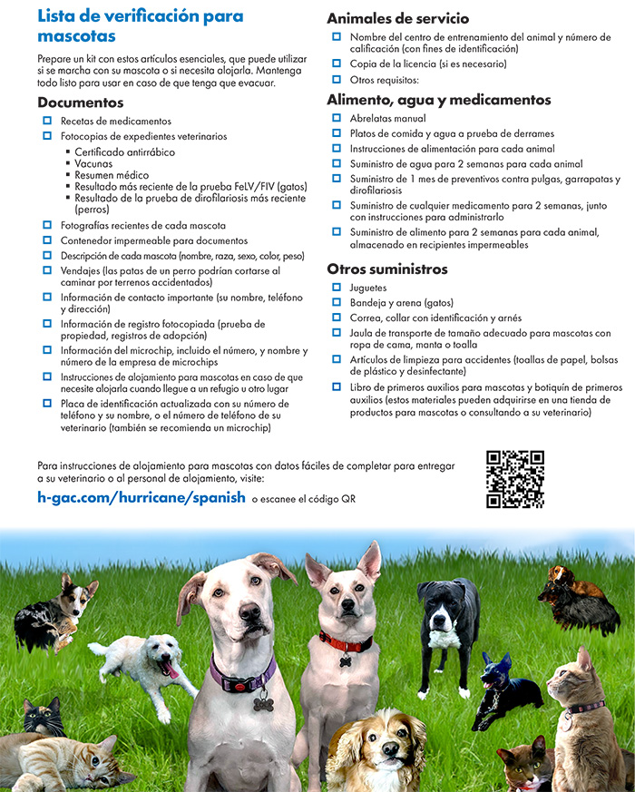 Plan de alojamiento para mascota 2026