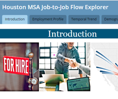 Houston MSA Job-to-Job Flow Explorer