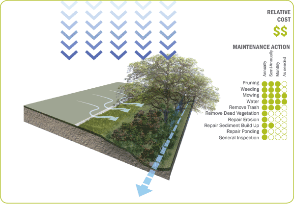 Vegetated-Swale