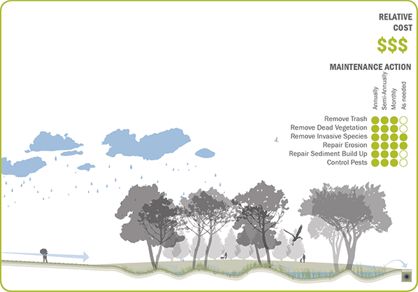 Constructed-Stormwater-Wetlands