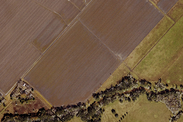 Aerial Ortho-Imagery sample image 6