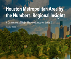 Houston Metropolitan Area by the Numbers: Regional Insights