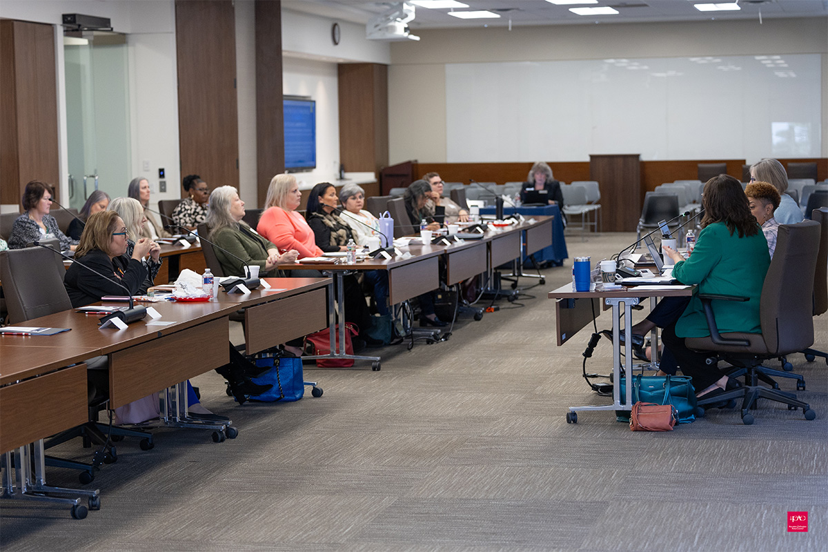 Election Law Workshop Series