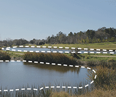 Constructed Stormwater Wetlands