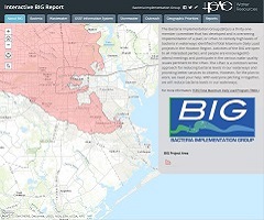 Interactive BIG Report